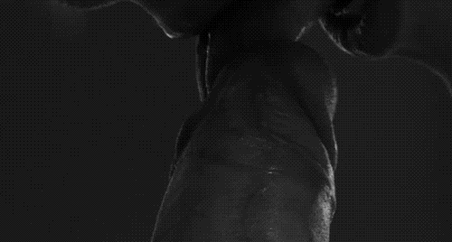 GIF porno № 20650