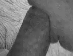GIF porno № 20810