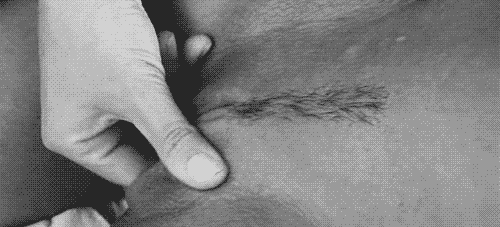 GIF Porn - 22981