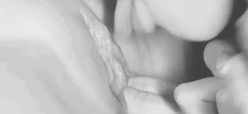 GIF Porn - 23252