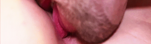 GIF Porno - 26277