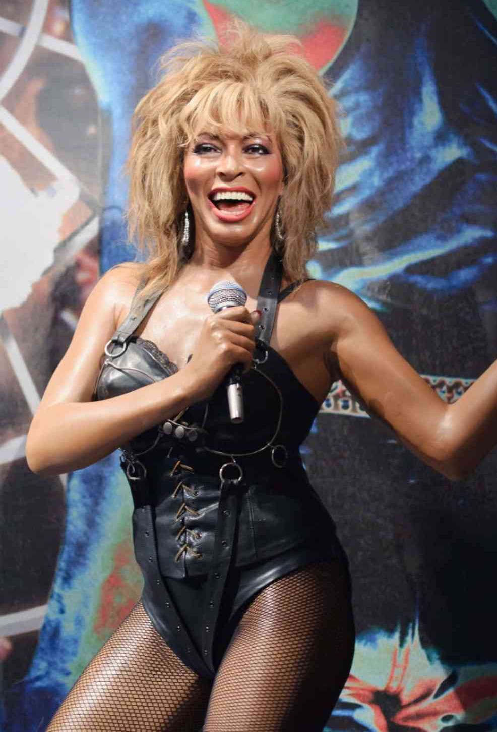 Tina Turner Nago. Zdjęcie - 19