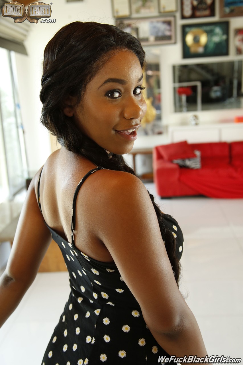Ebony and black porn. Gallery - 678. Photo - 2