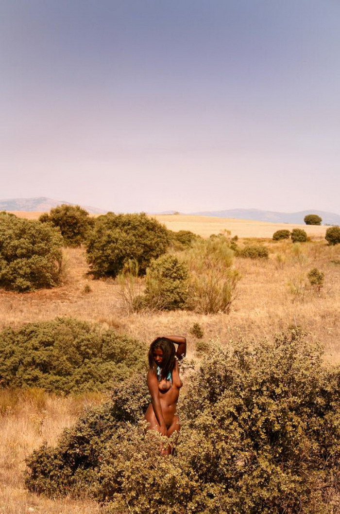 Schwarze Haut. Galerie - 6198. Foto - 2