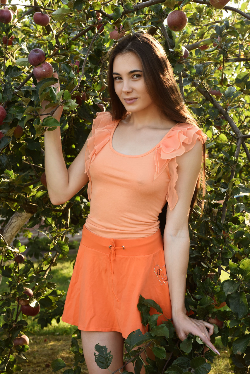 Junge (18+). Galerie - 6537. Foto - 1