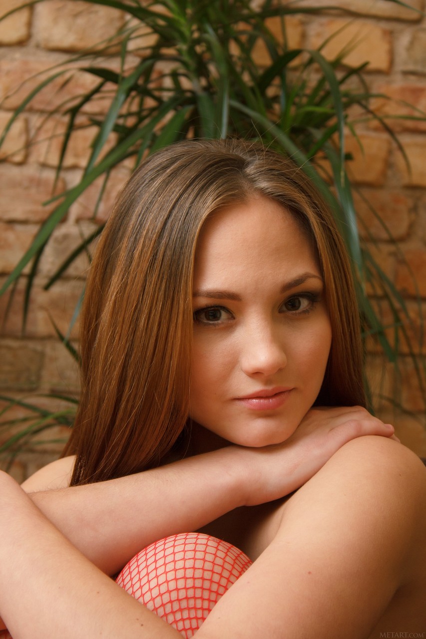 Junge (18+). Galerie - 7571. Foto - 1