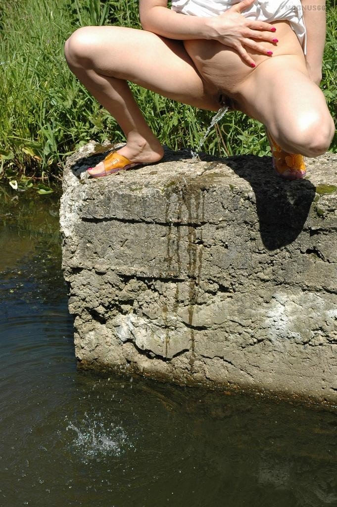Zlatý déšť. Galerie - 1326. Foto - 4