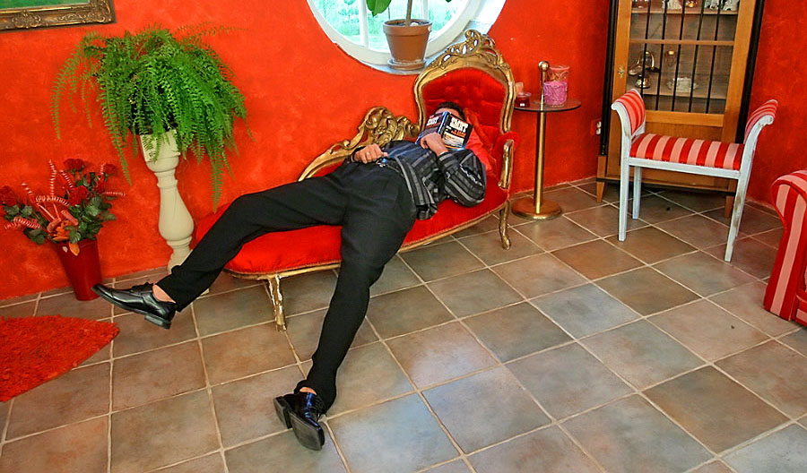 Zlatý déšť. Galerie - 3137. Foto - 1